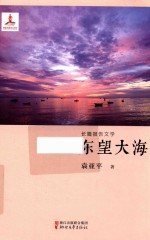 东望大海 封面