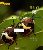 生命的故事  诞生了！蝽 封面