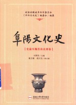 阜阳文化史  史前至魏晋南北朝卷 封面