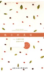 微小的美丽  尘世中的素朴欢喜 封面