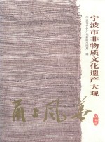 宁波市非物质文化遗产大观  镇海卷  甬上风华 封面