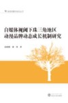 自媒体视阈下珠三角地区动漫品牌动态成长机制研究 封面