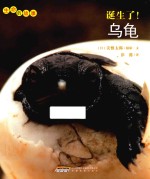 生命的故事  诞生了！乌龟 封面