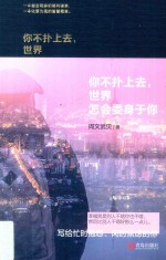 你不扑上去，世界怎会委身于你  精装纪念版 封面