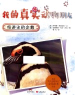 怕游泳的企鹅 封面