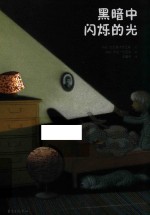 黑暗中闪烁的光 封面