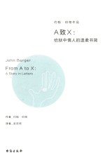 A致Z  给狱中情人的温柔书简 封面