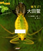 生命的故事  诞生了！大田鳖 封面