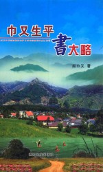 巾又生平书大略 封面