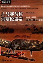从马赛马拉到塞伦盖蒂 封面