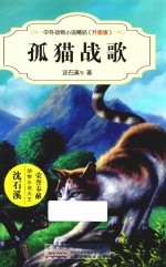 中外动物小说精品  孤猫战歌  升级版 封面