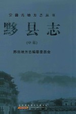 黟县志  中 封面
