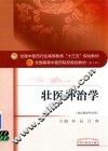 全国中医药行业高等教育“十三五”规划教材 壮医外治学 第10版 封面