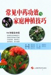 常见中药功效与家庭种植技巧 封面