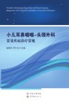 小儿耳鼻咽喉  头颈外科常见疾病诊疗常规 封面