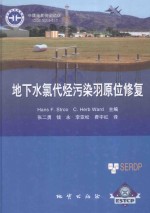 地下水氯代烃污染羽原位修复 封面