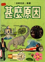 甚么原因 电子书封面