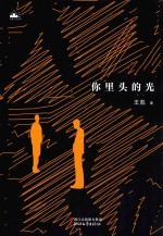 你里头的光 封面