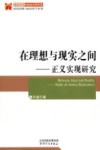 在理想与现实之间  正义实现研究 封面