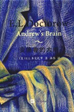 安德鲁的大脑 封面