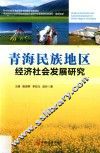 青海省民族地区经济社会发展研究 封面