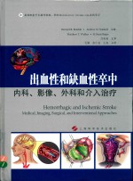 出血性和缺血性卒中  内科、影像、外科和介入治疗 封面