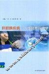 肝胆胰疾病介入性超声治疗学 封面
