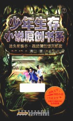少年生存小说原创书系  迷失断裂谷  黑龙潭的惊天机密 封面