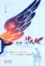 给我一双冲天翅 封面