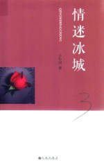 情迷冰城 封面