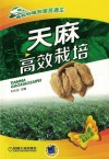 天麻高效栽培 封面