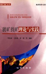 就矿找矿丛书  就矿找矿理论与实践 封面
