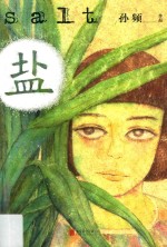 盐 封面