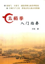 太极拳入门指要 封面