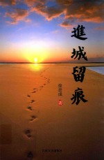 进城留痕 封面