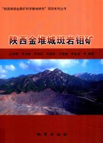 陕西金堆城斑岩钼矿 封面