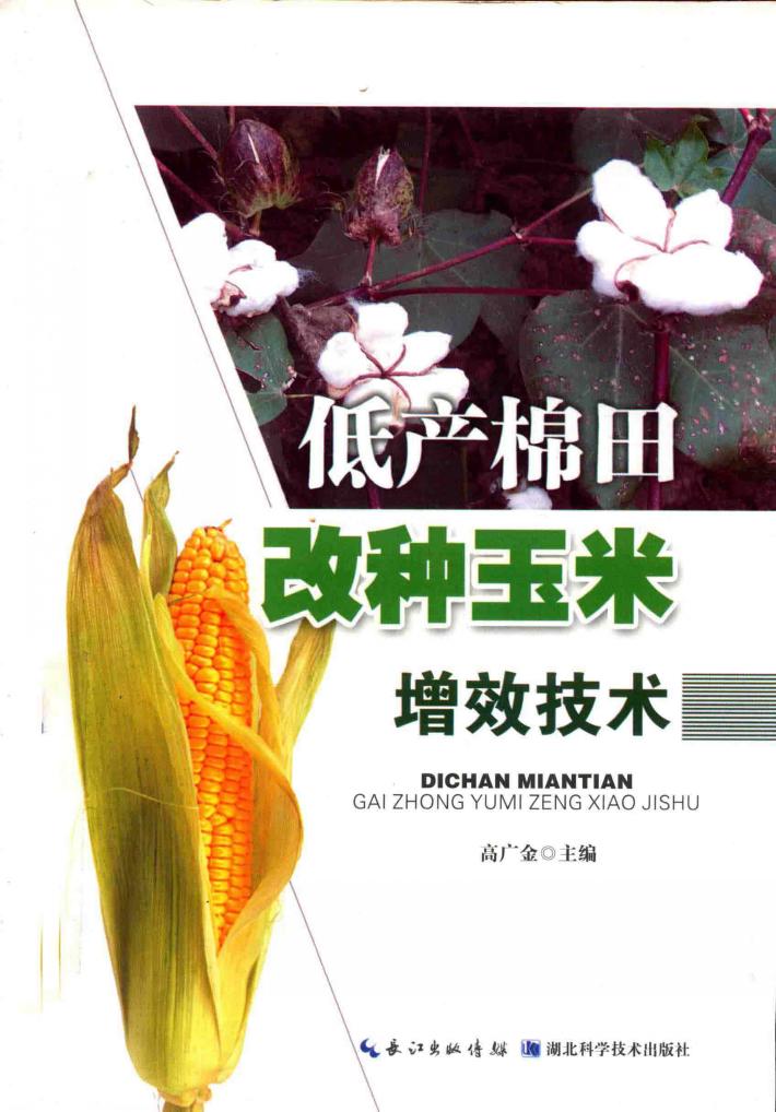 低产棉田改种玉米增效技术 封面