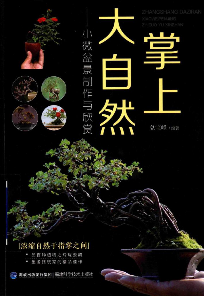 掌上大自然  小微盆景制作与欣赏 封面