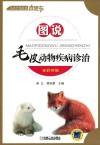 图说毛皮动物疾病诊治 封面