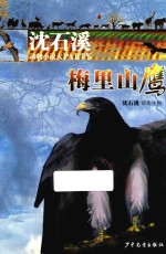 沈石溪动物小说大PARTY  梅里山鹰 封面