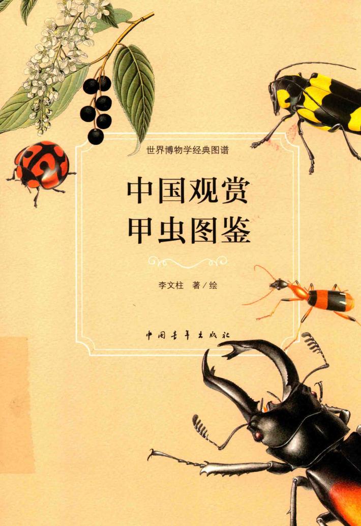 中国观赏甲虫图鉴 封面