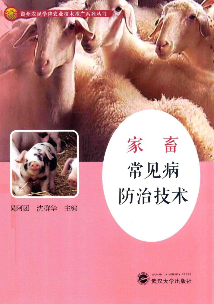 家畜常见病防治技术 封面