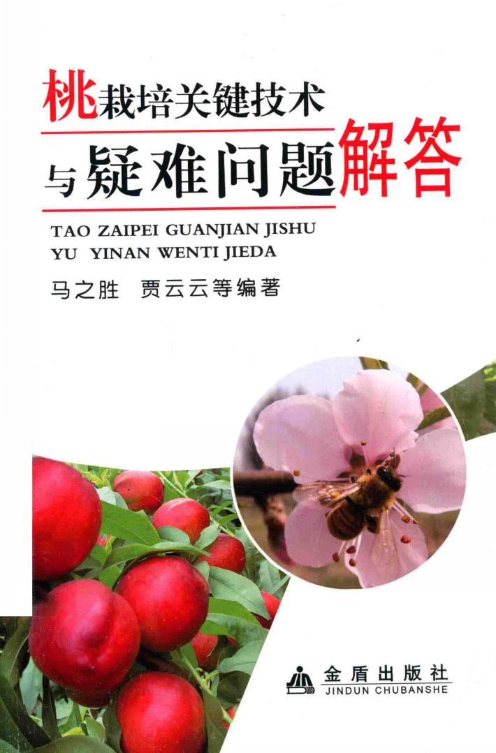 桃栽培关键技术与疑难问题解答 封面