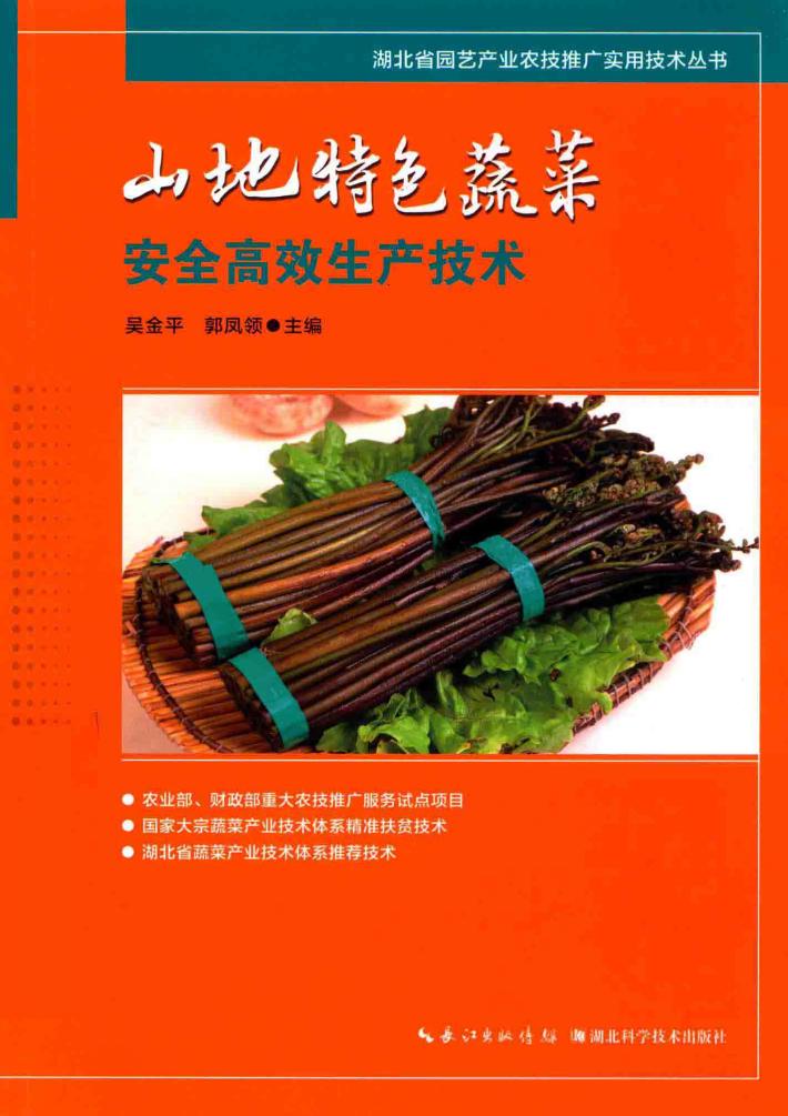 山地特色蔬菜安全高效生产技术 封面