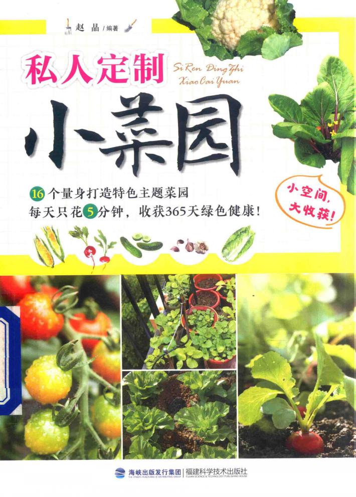 私人定制小菜园 封面
