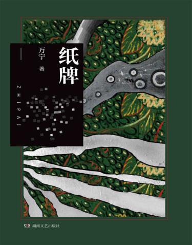 纸牌 封面