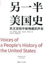另一半美国史 封面