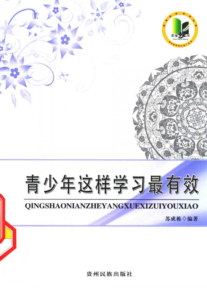 青少年这样学习最有效 封面