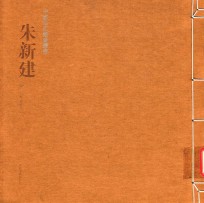 中国私家藏画丛书  朱新建卷 封面