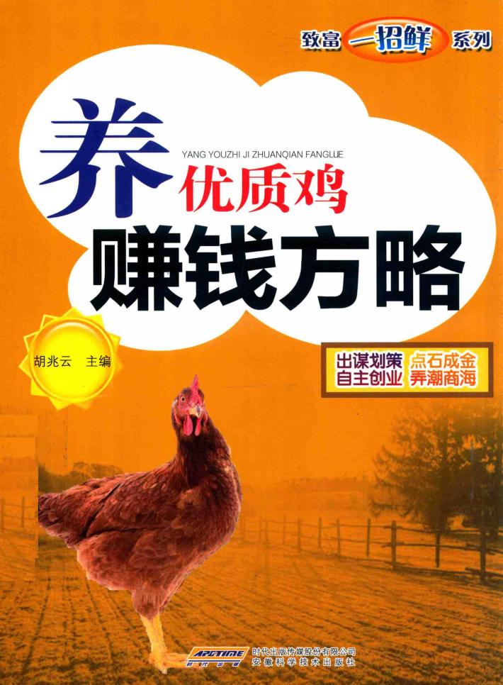 养优质鸡赚钱方略 封面